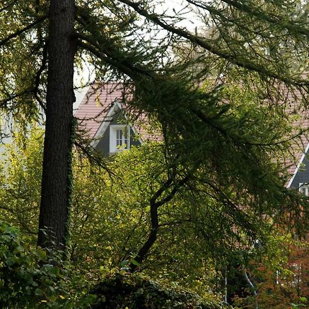 Sonnenschein Appartement Ober-Hambach Bagian luar foto
